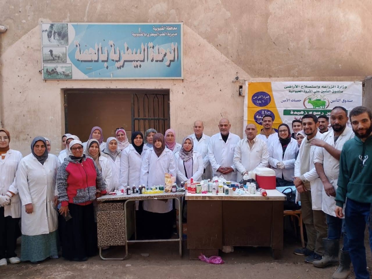 جامعة بنها تنظم قافلة بيطرية مجانية بقرية الحصة بطوخ